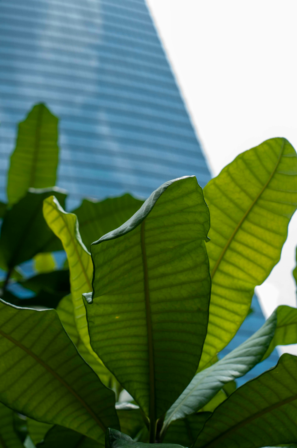 Sustainability